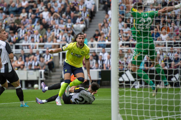 蒋圣龙和谢 蒋圣龙和谢