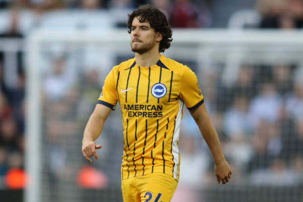 尼进入联盟 尼进入联盟