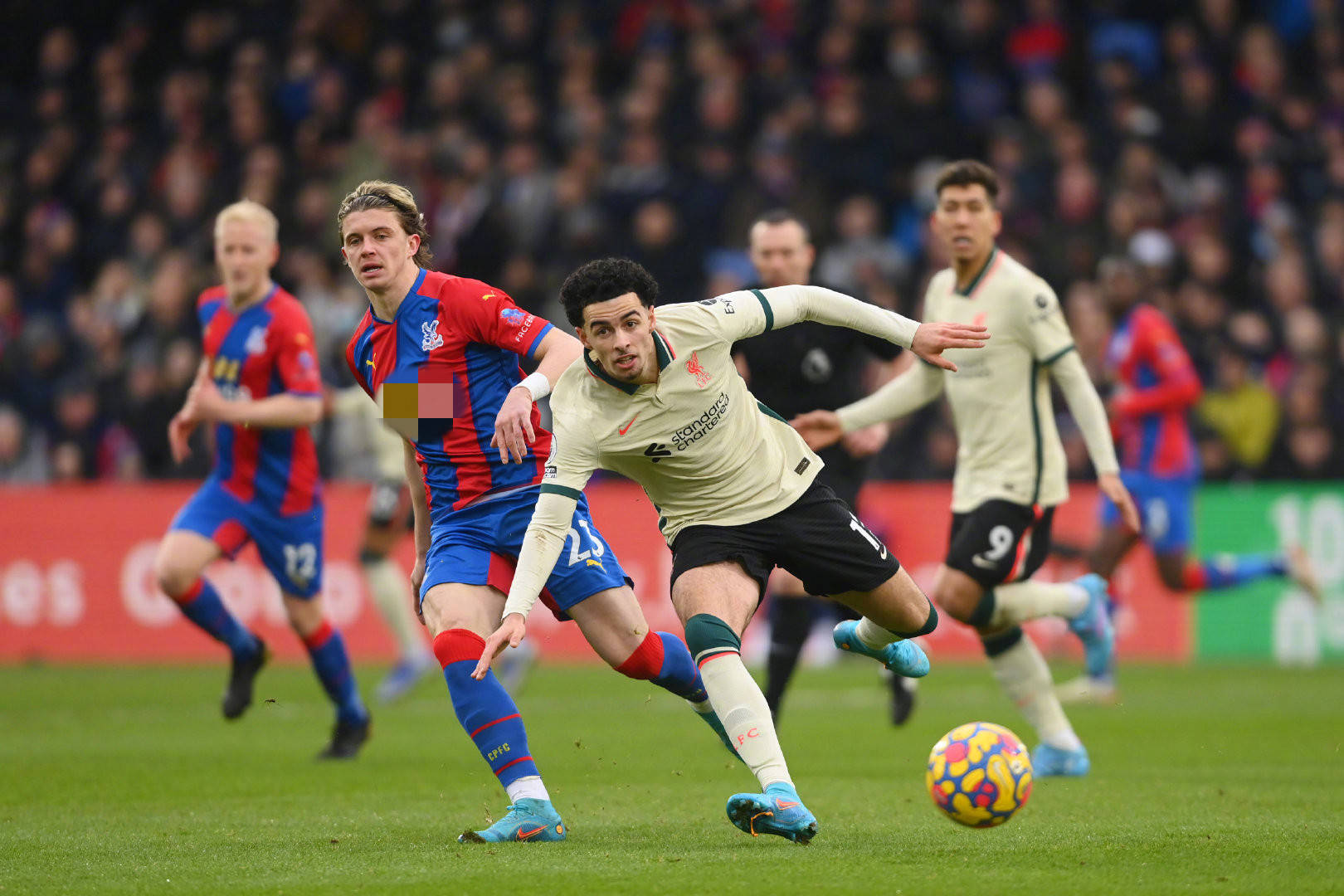 组赛的展开 组赛的展开